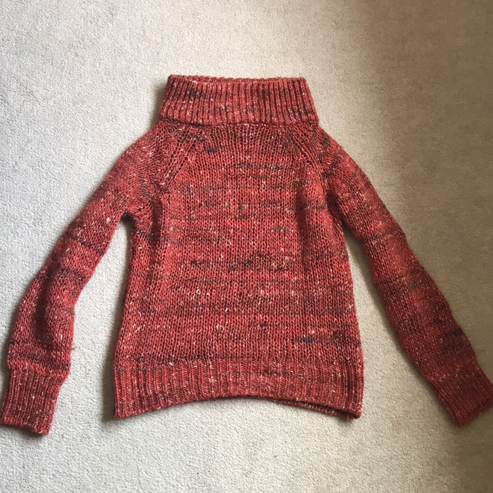 Moth sweater (Anthropologie)